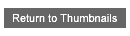 return to thumbnails