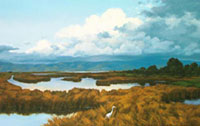 Baylands & Egret: Jim Promessi