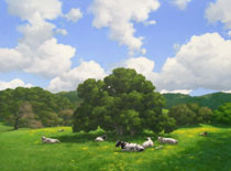 Bovine Siesta: Jim Promessi