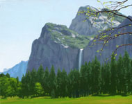 Bridalveil Falls, Yosemite: Jim Promessi