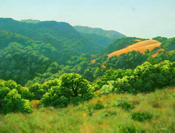 Bright Afternoon
