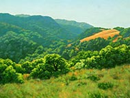 Bright Afternoon: Jim Promessi