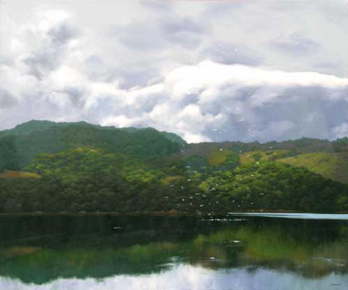 Crystal Springs, Soaring Gulls