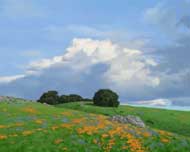 California Colors: Jim Promessi