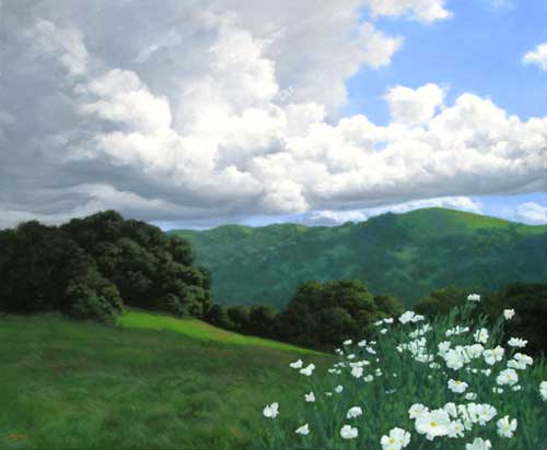 California Hills and Matilija