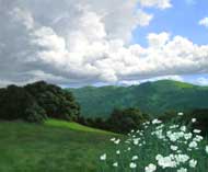 California Hills and Matelija: Jim Promessi