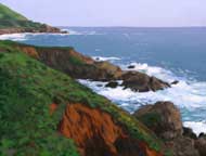 Coastal Jewel