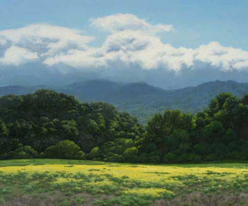 Coastal Range Wild Mustard, oil 36" x 30"