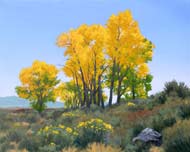 Cottonwoods Nevada: Jim Promessi