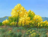 Cottonwoods in Nevada #2: Jim Promessi
