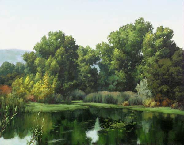 Coyote Creek & Cottonwoods