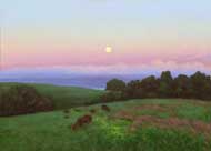 Grazing Deer: Jim Promessi