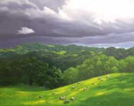 Grazing Sheep: Jim Promessi