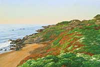 Iceplant Along the Coast: Jim Promessi
