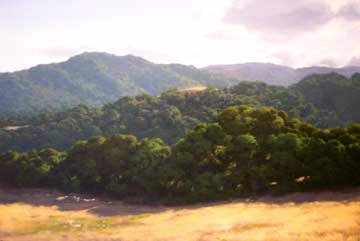 Looking West