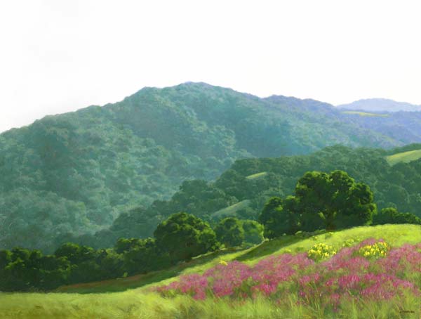 Lupin on Hillside