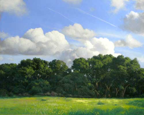 Oaks, Clouds (Elkhorn)
