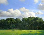 Oaks, Clouds (Elkhorn)