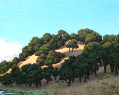 Oaks in Gold Grass