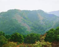 Off Wildcat Loop: Jim Promessi