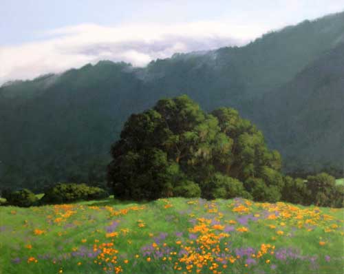 Poppies & Lupine