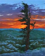 Red Sunset: Jim Promessi