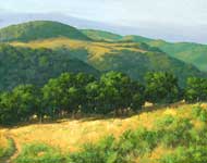 Row of Oaks, Golden Grasses: Jim Promessi