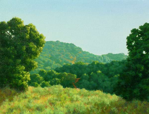 View Between Two Oaks