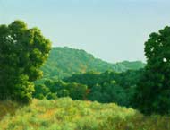 View Between Two Oaks: Jim Promessi