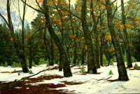 Yosemite, Black Oaks: Jim Promessi