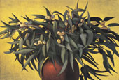 Eucalyptus