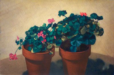 Geraniums in Clay Pots