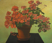 Pink Geraniums