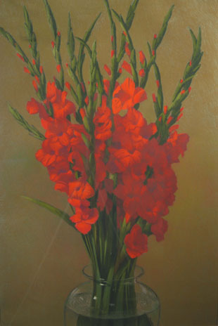 Red Gladiolus